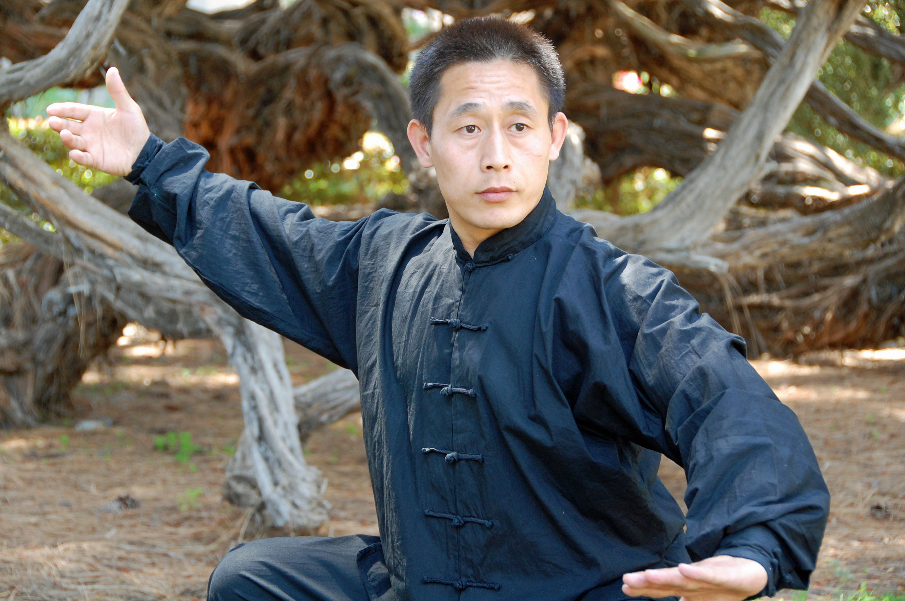 陳氏太極拳新領(lǐng)軍人物：陳自強(qiáng)